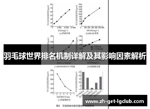 羽毛球世界排名机制详解及其影响因素解析